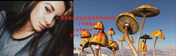 соль курить ск Алексеевка