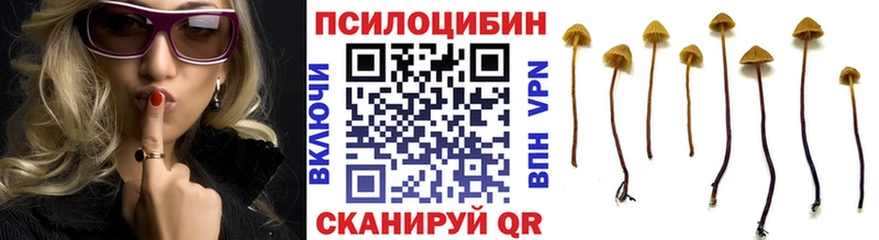 даркнет сайт  Микунь  Галлюциногенные грибы мухоморы 